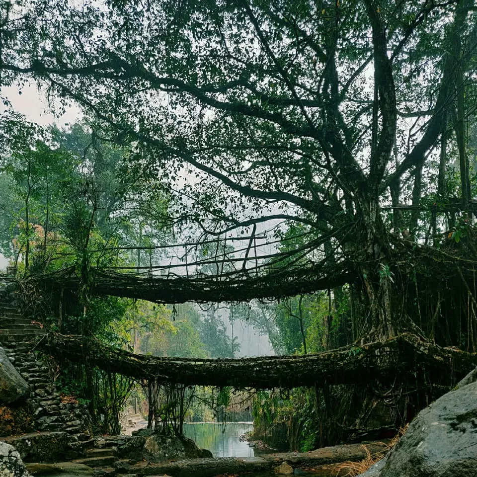 Photo of Nongriat By pooja singh