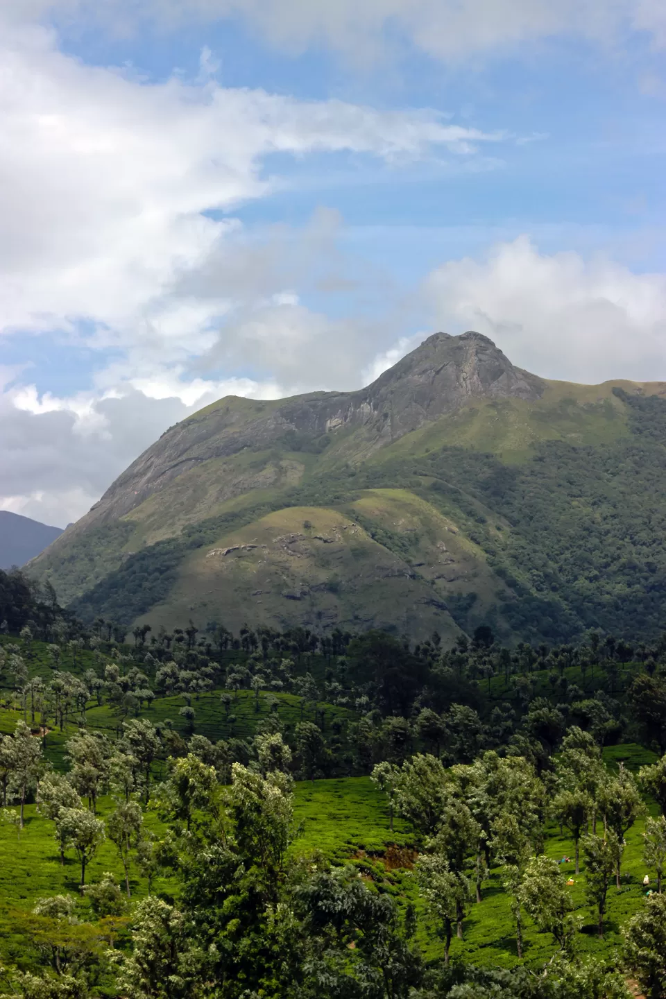 Photo of Valparai, Tamil Nadu, India by Kalathil Sinaj