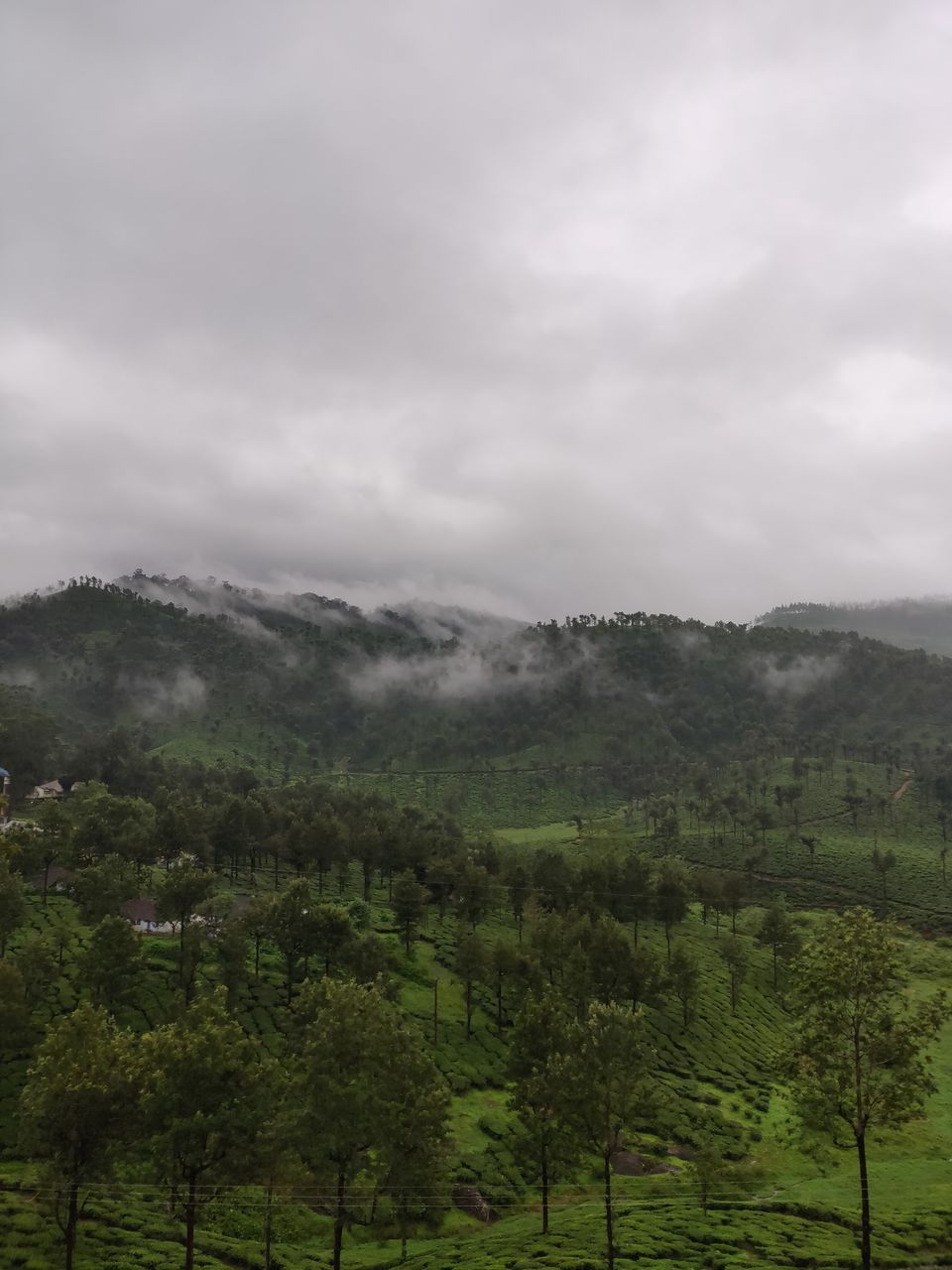 Photo of Not Munnar - Here's your perfect Hill Station in South.! #notinnorth by Kalathil Sinaj