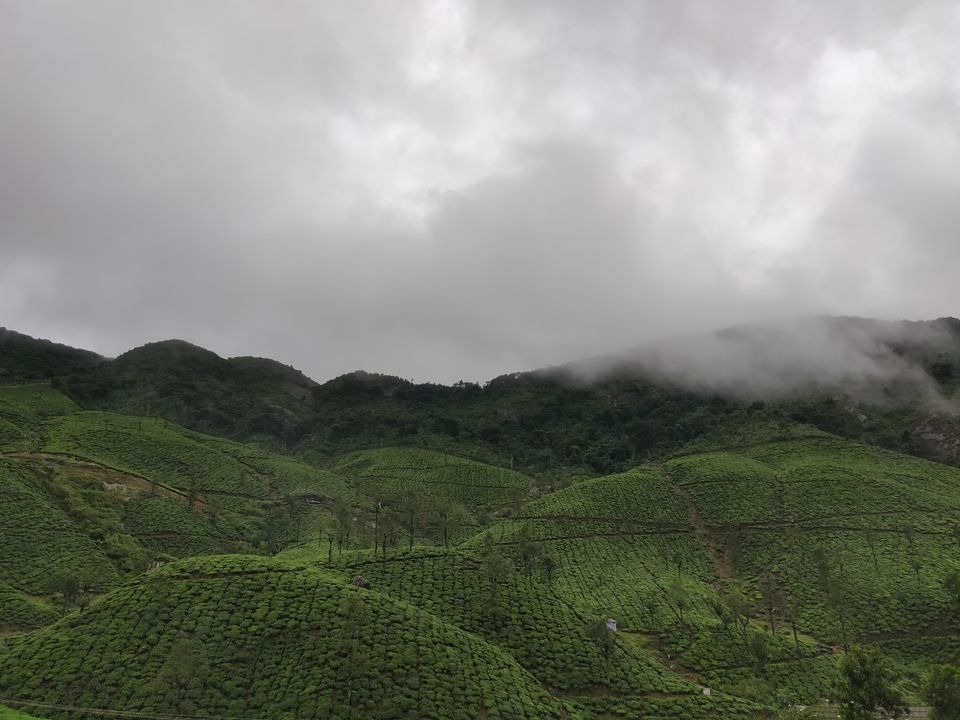 Photo of Not Munnar - Here's your perfect Hill Station in South.! #notinnorth by Kalathil Sinaj