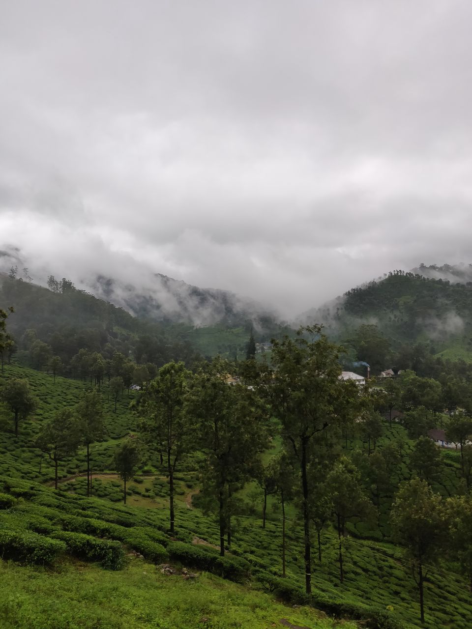 Photo of Not Munnar - Here's your perfect Hill Station in South.! #notinnorth by Kalathil Sinaj