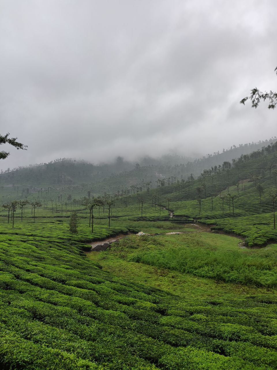 Photo of Not Munnar - Here's your perfect Hill Station in South.! #notinnorth by Kalathil Sinaj