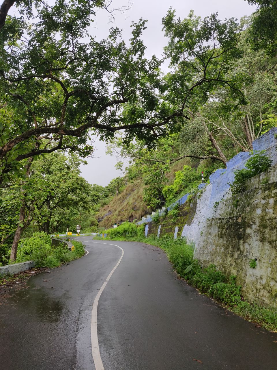 Photo of Not Munnar - Here's your perfect Hill Station in South.! #notinnorth by Kalathil Sinaj