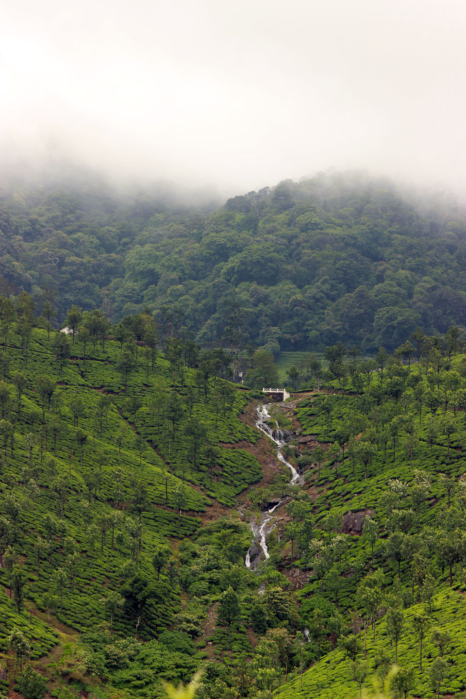 Photo of Not Munnar - Here's your perfect Hill Station in South.! #notinnorth by Kalathil Sinaj