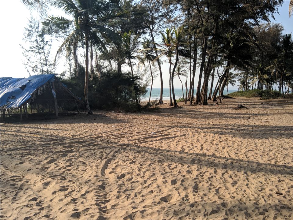 Photo of Palolem Beach, Goa by Anuj Kaul