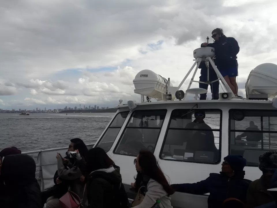 Photo of Whale Watching Sydney, Darling Dr, Sydney NSW, Australia by oneworldforall