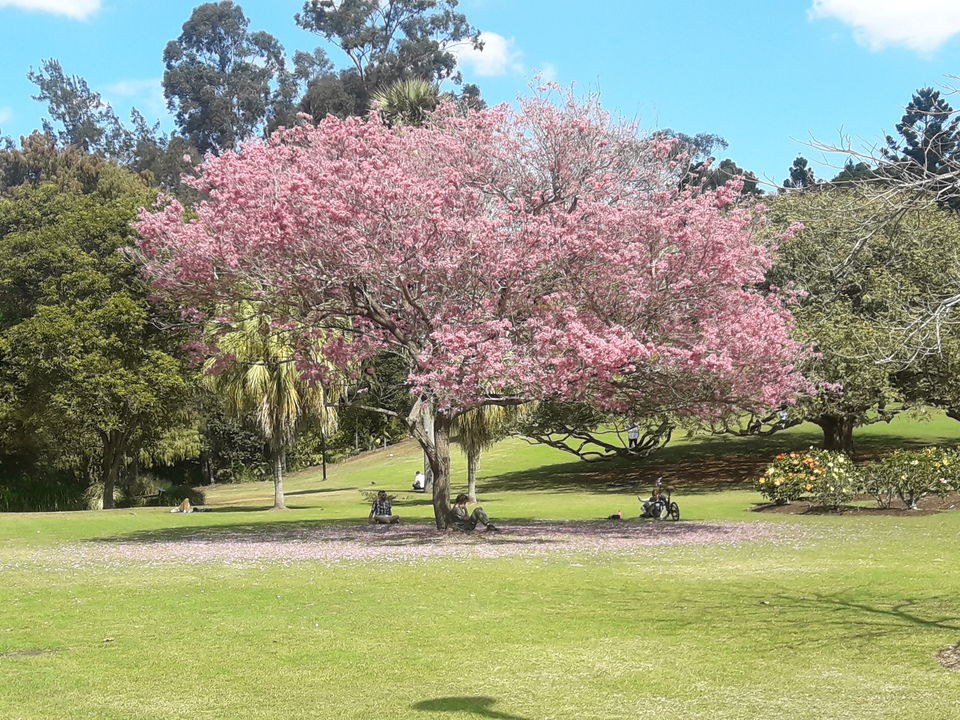 Photo of 5 Reasons Why I Ditched Europe For Australia-The land Down Under#fivereasons by oneworldforall