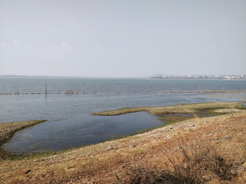 Photo of Van Vihar National Park, Shymala Hills, Bhopal, Madhya Pradesh, India by Shubham Kantharia