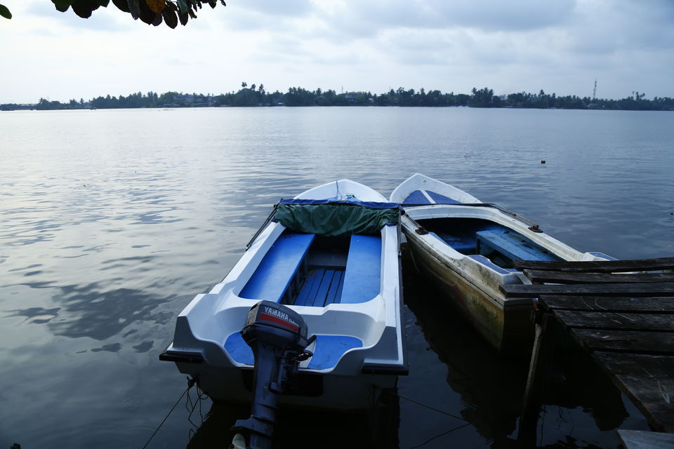 Photo of The majestic SriLanka 1/2 by Artistique Lensman a.k.a Vinayak