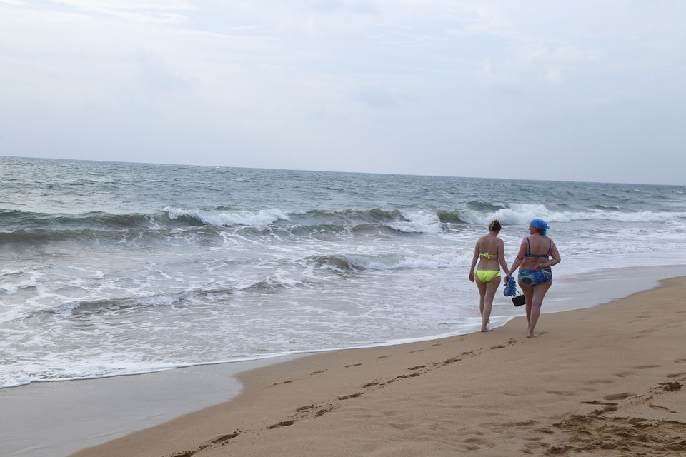 Photo of The majestic SriLanka by Artistique Lensman a.k.a Vinayak