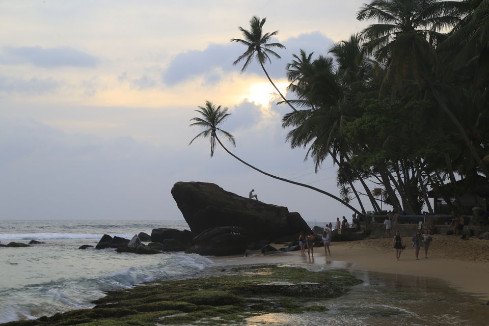 Photo of The majestic SriLanka by Artistique Lensman a.k.a Vinayak