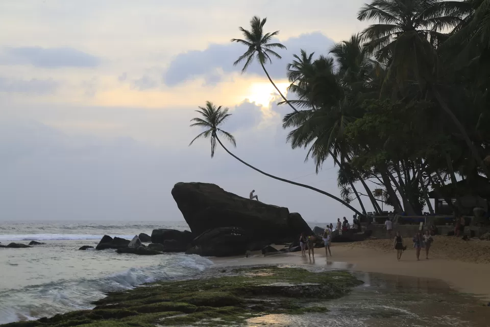 Photo of The majestic SriLanka by Artistique Lensman a.k.a Vinayak