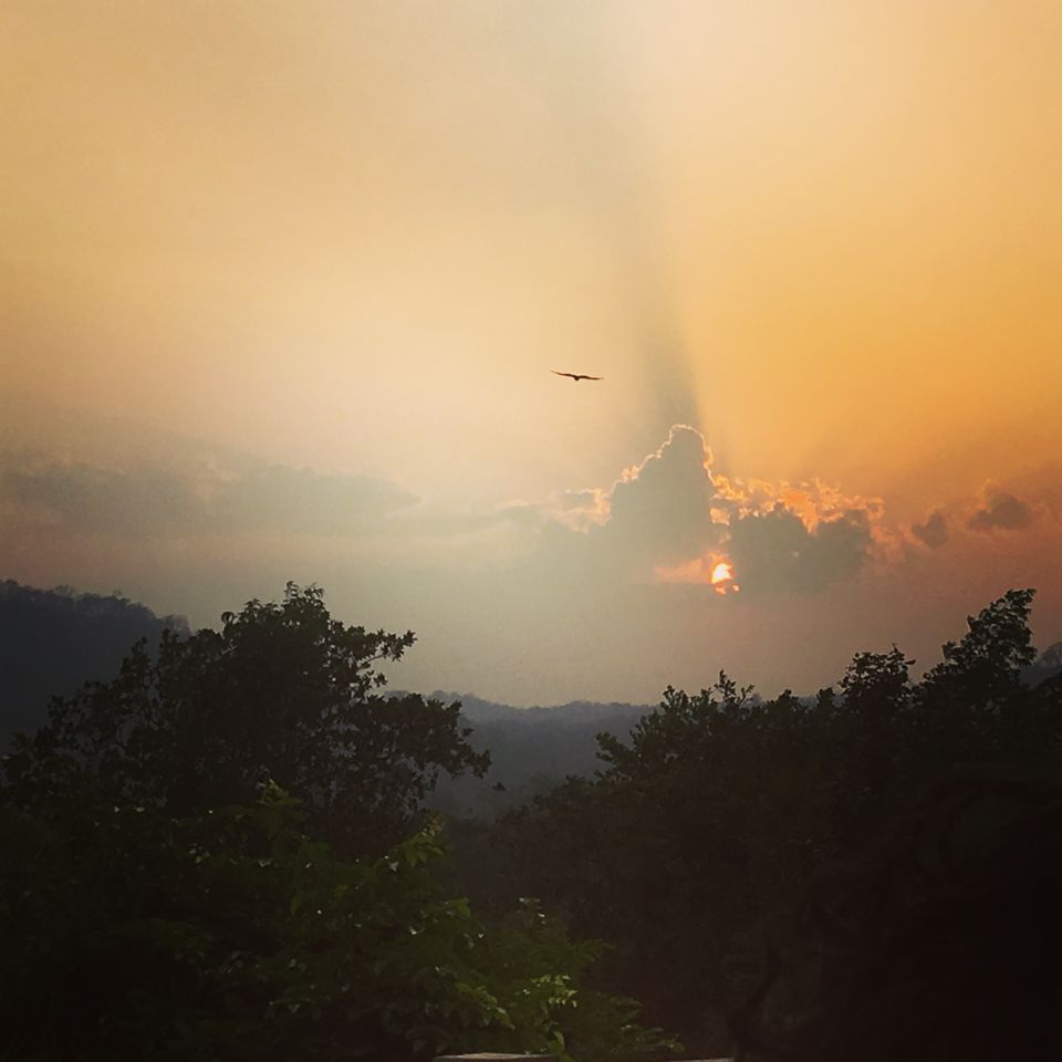 Photo of Sakrebyle Elephant Camp, Sakrebyle, Karnataka, India by Vineeth Madthila
