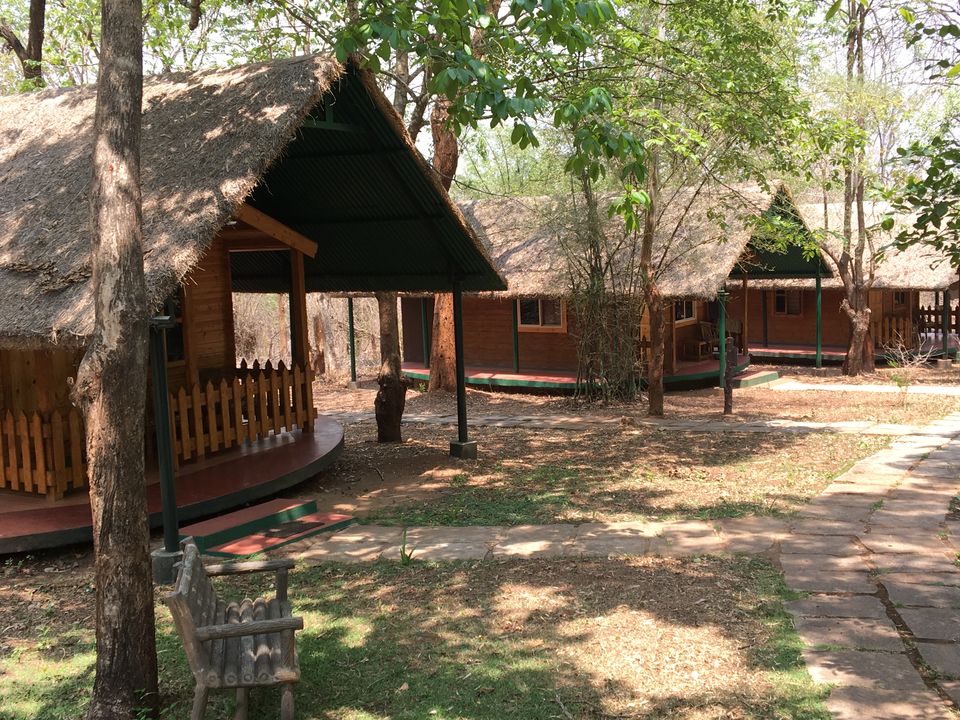 Photo of Sakrebyle Elephant Camp, Sakrebyle, Karnataka, India by Vineeth Madthila