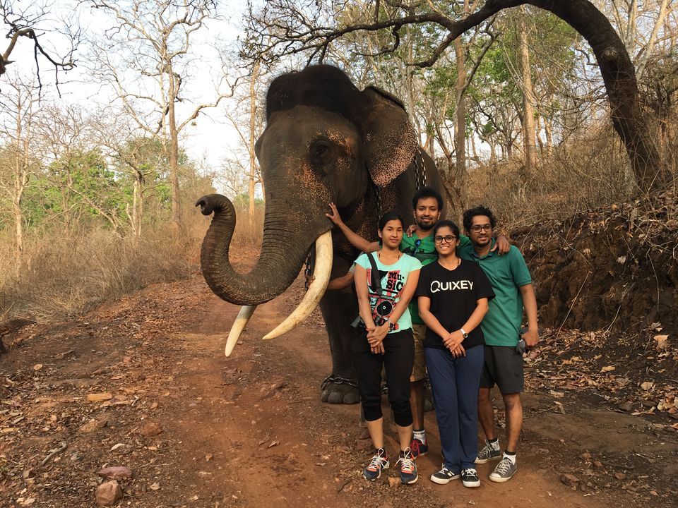 Photo of Sakrebyle Elephant Camp, Sakrebyle, Karnataka, India by Vineeth Madthila