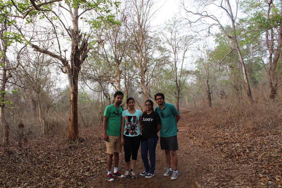 Photo of Sakrebyle Elephant Camp, Sakrebyle, Karnataka, India by Vineeth Madthila