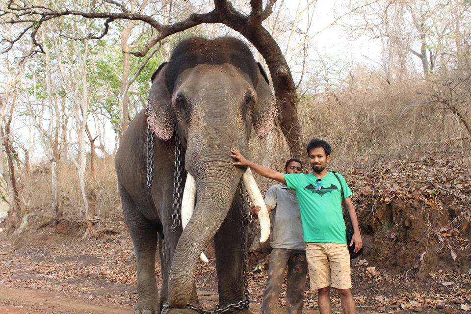 Photo of Sakrebyle Elephant Camp, Sakrebyle, Karnataka, India by Vineeth Madthila