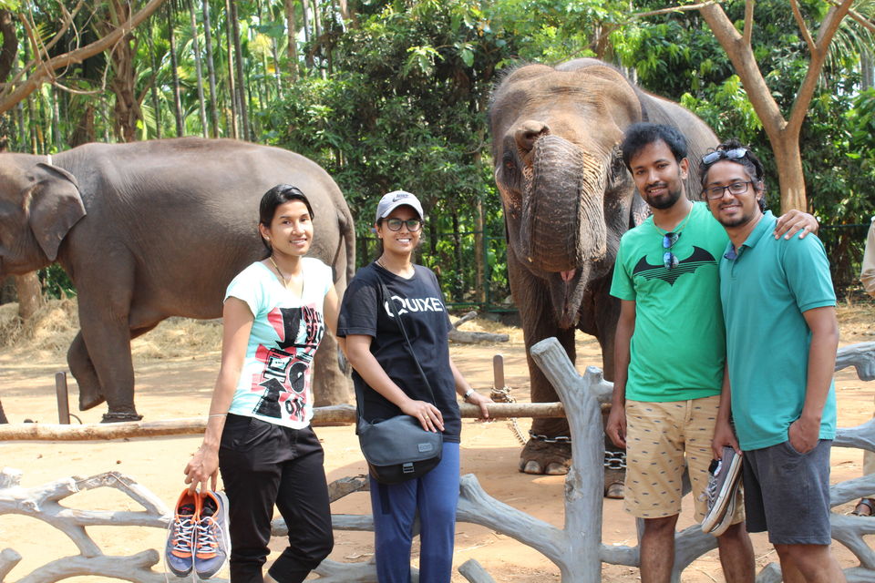 Photo of Sakrebyle Elephant Camp, Sakrebyle, Karnataka, India by Vineeth Madthila