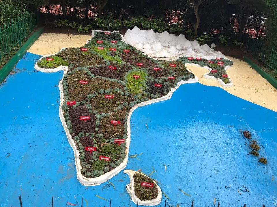 Photo of Government Botanical Garden, Vannarapettai, Ooty, Tamil Nadu, India by Sweety S Patel