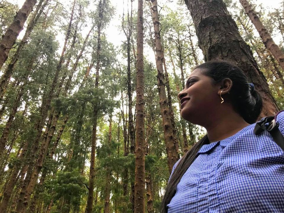 Photo of Pine Forest Shooting Spot, Ooty Main Road, Tamil Nadu, India by Sweety S Patel