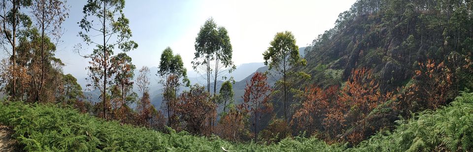 Photo of Extended Weekend trip to Kodaikanal :D by Rashi