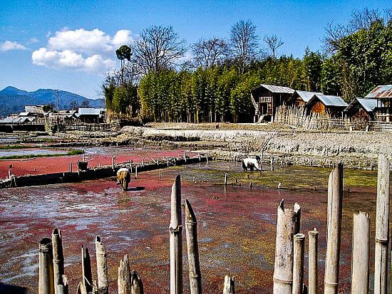 Photo of Arunachal Pradesh, India by ___3m63r_5p1r1t._