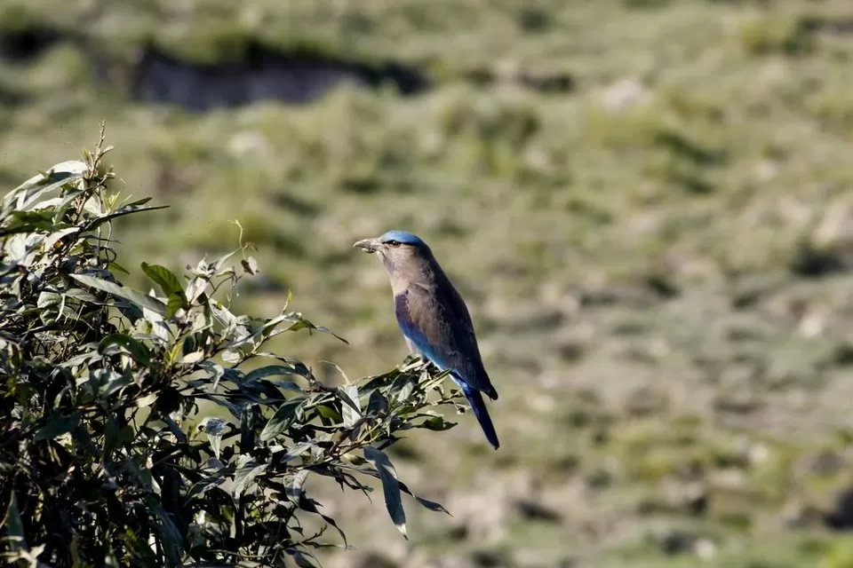 Photo of Kaziranga National Park by Nabarun Paul