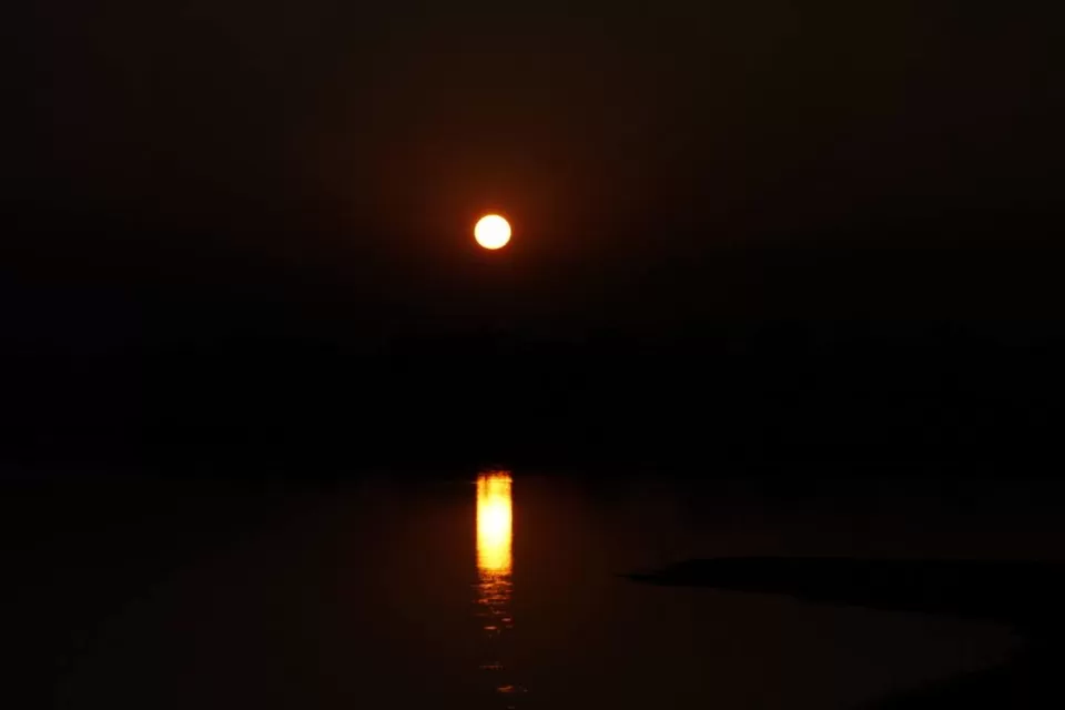 Photo of Kaziranga National Park by Nabarun Paul