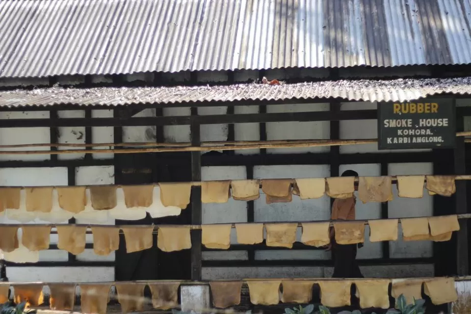 Photo of Kaziranga National Park by Nabarun Paul