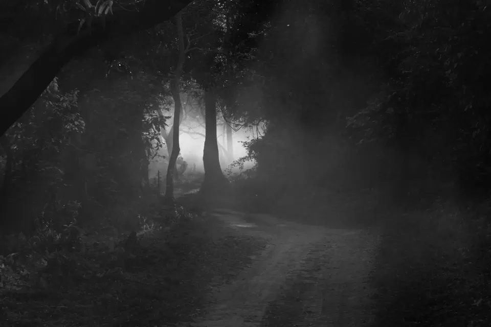 Photo of Kaziranga National Park by Nabarun Paul