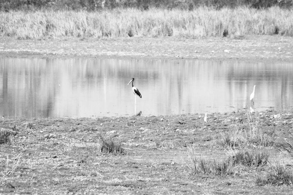 Photo of Graduation Trip to Kaziranga 17/85 by Nabarun Paul