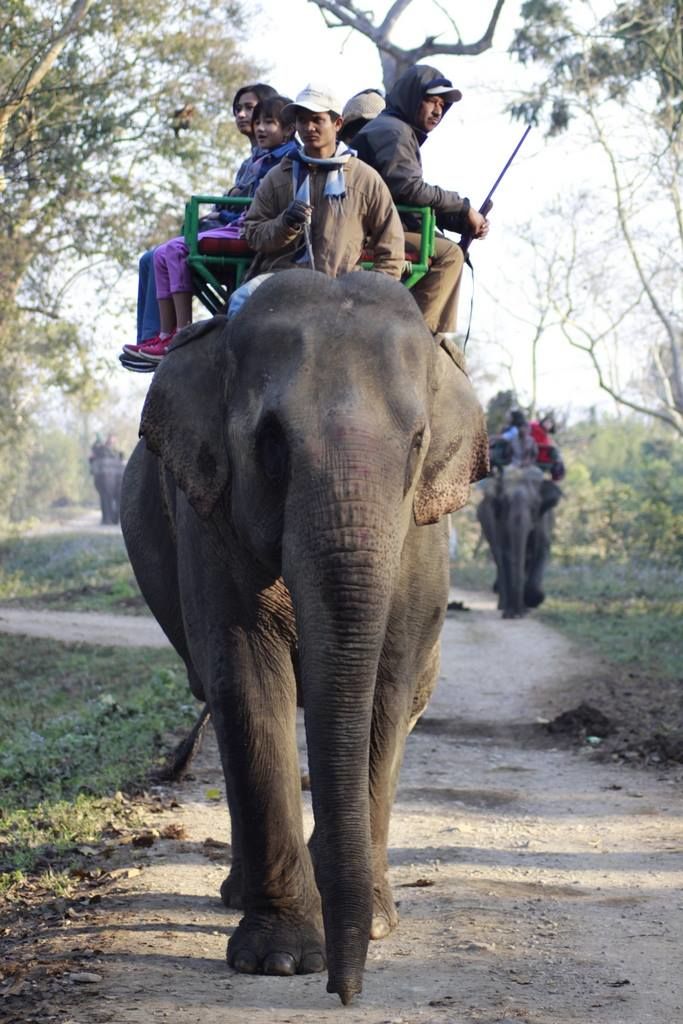 Photo of Graduation Trip to Kaziranga 9/85 by Nabarun Paul