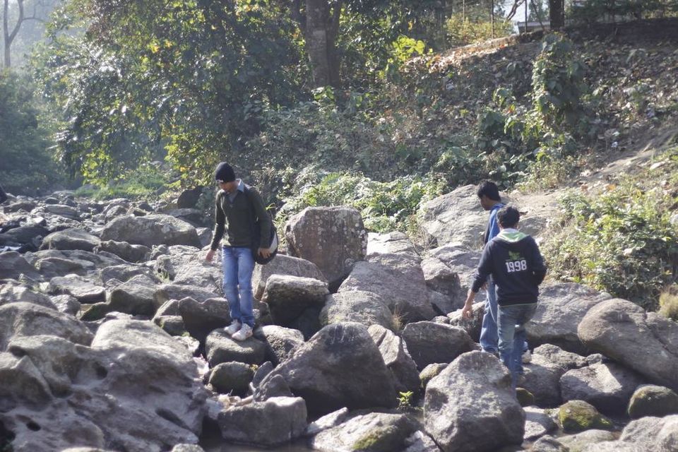 Photo of Graduation Trip to Kaziranga 60/85 by Nabarun Paul