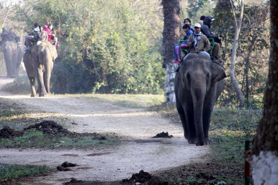 Photo of Graduation Trip to Kaziranga 8/85 by Nabarun Paul
