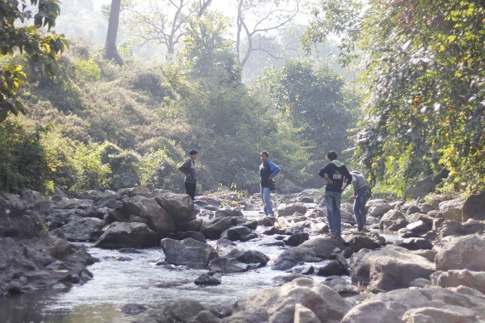 Photo of Graduation Trip to Kaziranga 61/85 by Nabarun Paul