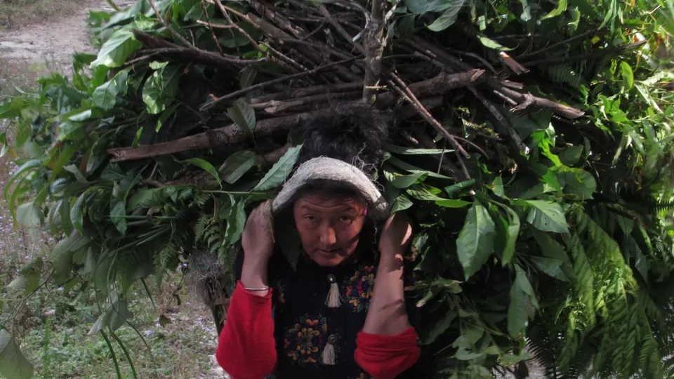 Photo of Sittong, West Bengal, India by Soumodip Saha