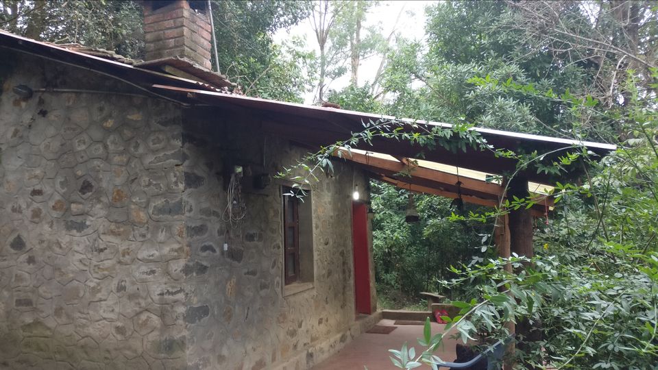 Photo of Vattakanal, Kodaikanal, Tamil Nadu, India by Mana