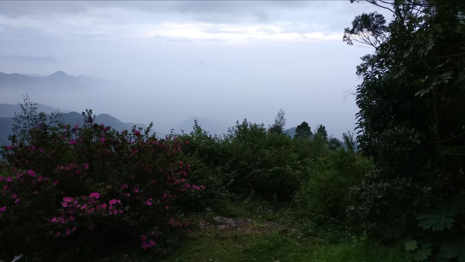 Photo of Vattakanal, Kodaikanal, Tamil Nadu, India by Mana