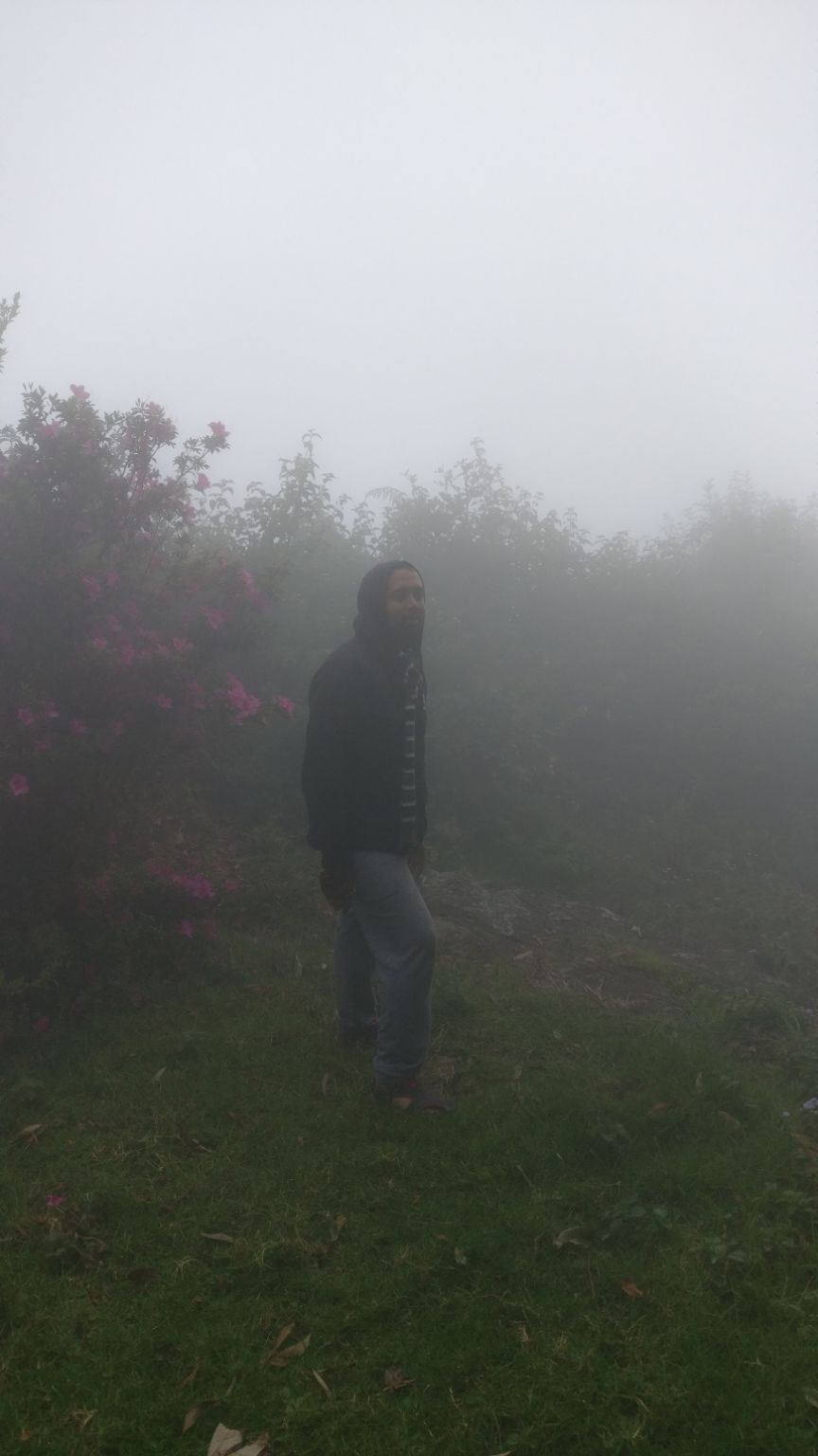 Photo of Vattakanal, Kodaikanal, Tamil Nadu, India by Mana