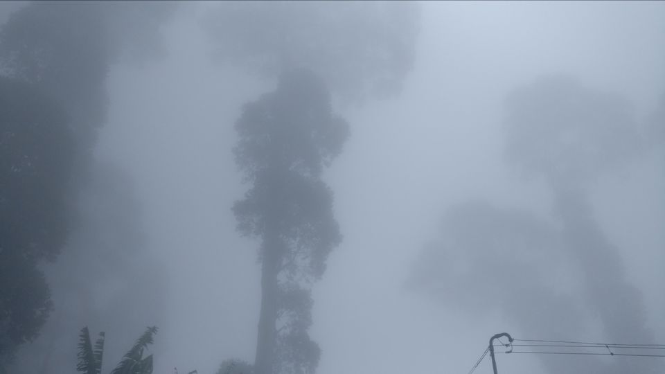 Photo of Vattakanal, Kodaikanal, Tamil Nadu, India by Mana