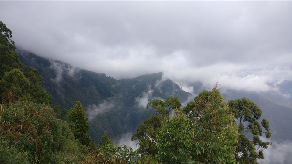Photo of Vattakanal, Kodaikanal, Tamil Nadu, India by Mana
