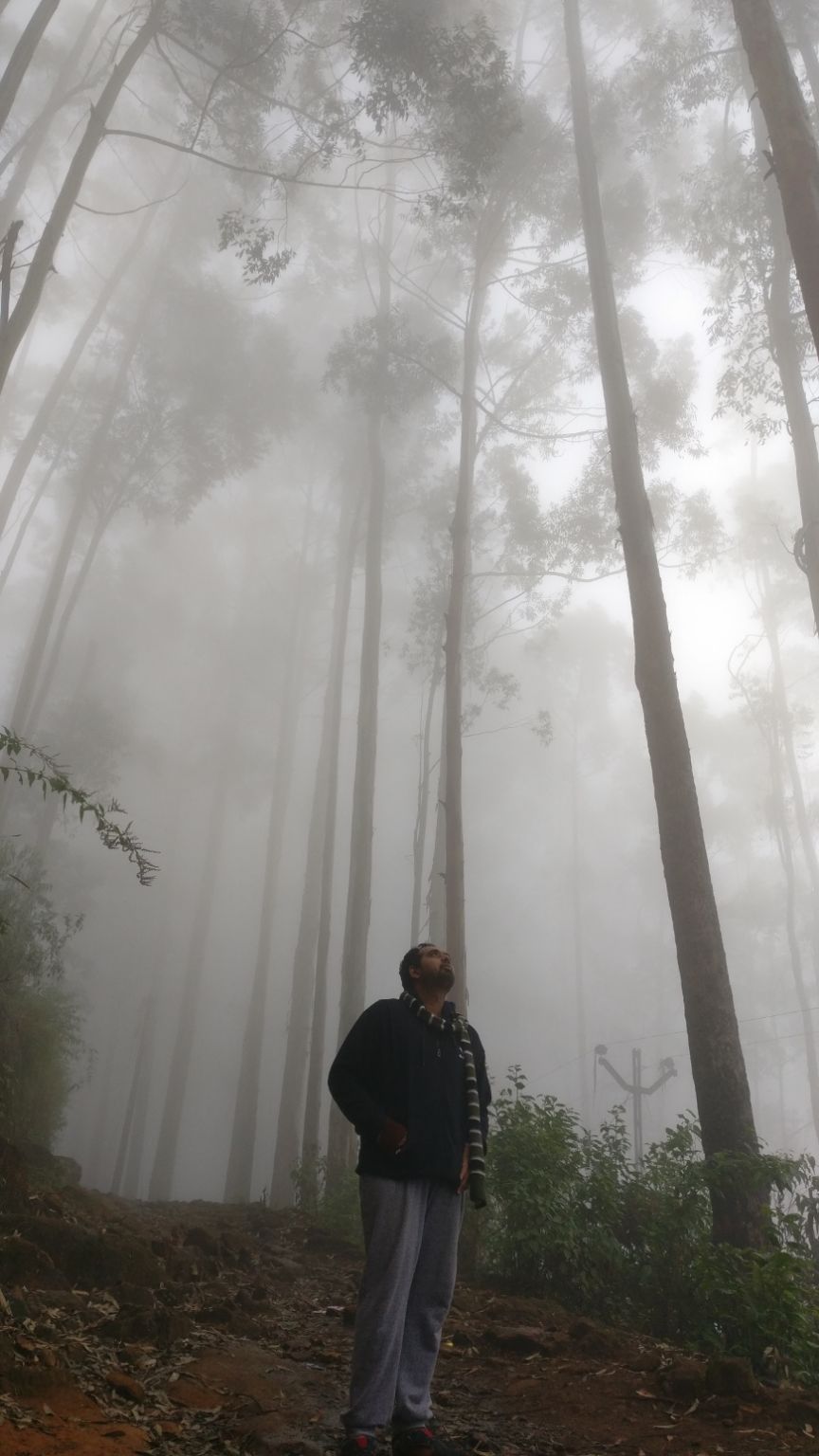 Photo of Vattakanal, Kodaikanal, Tamil Nadu, India by Mana