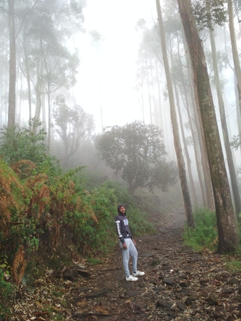 Photo of Vattakanal, Kodaikanal, Tamil Nadu, India by Mana