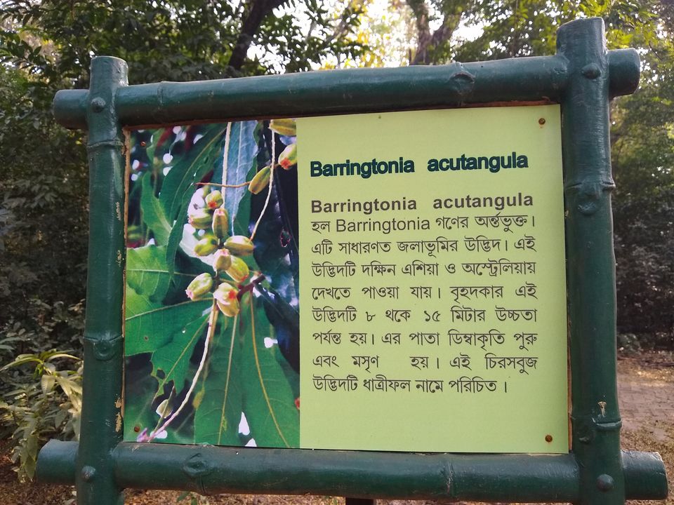 Photo of Bethuadahari Wildlife Sanctuary, Segun Bagan Road, Bethuadahari Rajendranagar, Bethuadahari, West Bengal, India by Mangolik Pradhan