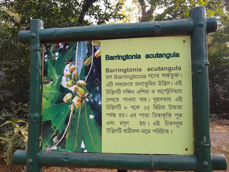 Photo of Bethuadahari Wildlife Sanctuary, Segun Bagan Road, Bethuadahari Rajendranagar, Bethuadahari, West Bengal, India by Mangolik Pradhan