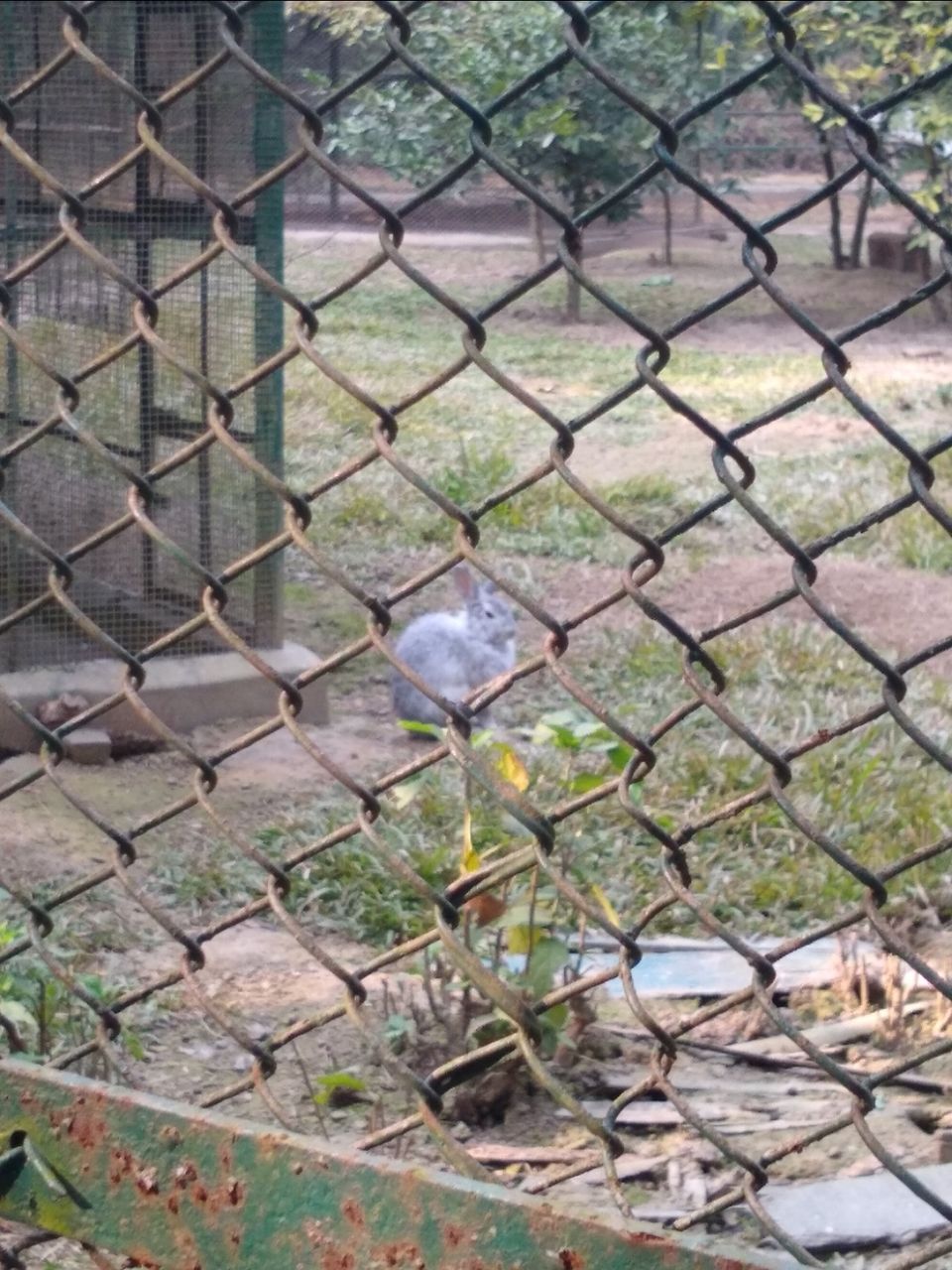 Photo of Bethuadahari Wildlife Sanctuary, Segun Bagan Road, Bethuadahari Rajendranagar, Bethuadahari, West Bengal, India by Mangolik Pradhan