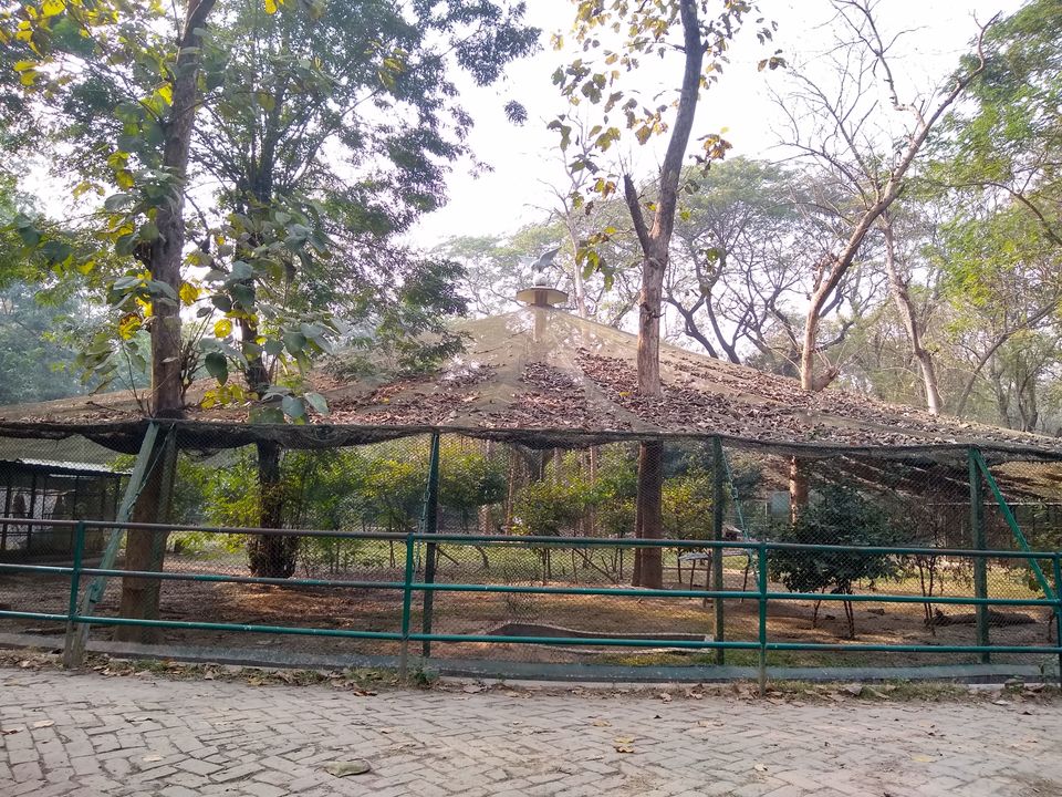 Photo of Bethuadahari Wildlife Sanctuary, Segun Bagan Road, Bethuadahari Rajendranagar, Bethuadahari, West Bengal, India by Mangolik Pradhan