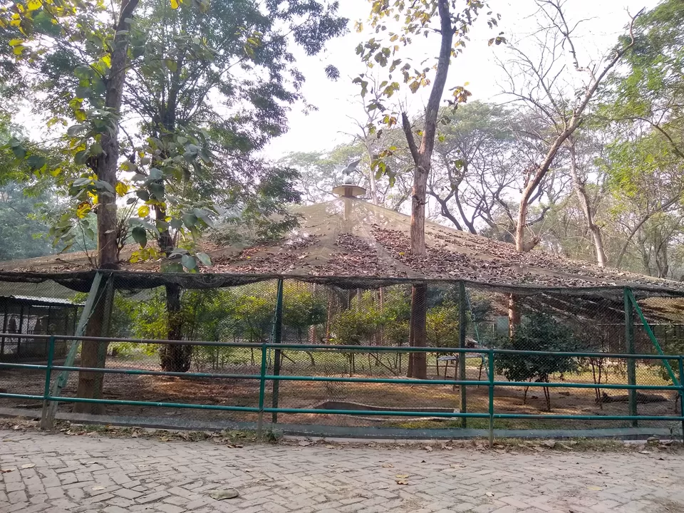 Photo of Bethuadahari Wildlife Sanctuary, Segun Bagan Road, Bethuadahari Rajendranagar, Bethuadahari, West Bengal, India by Mangolik Pradhan