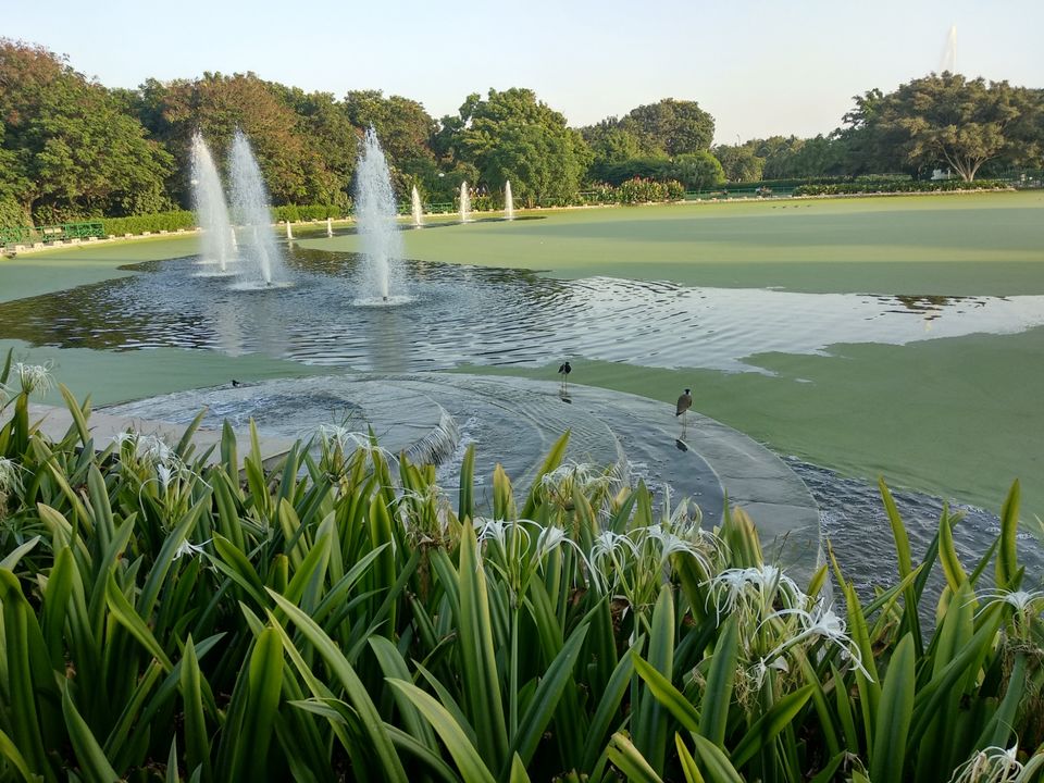 Photo of Reliance Greens, Motikhavdi, Gujarat, India by Mangolik Pradhan