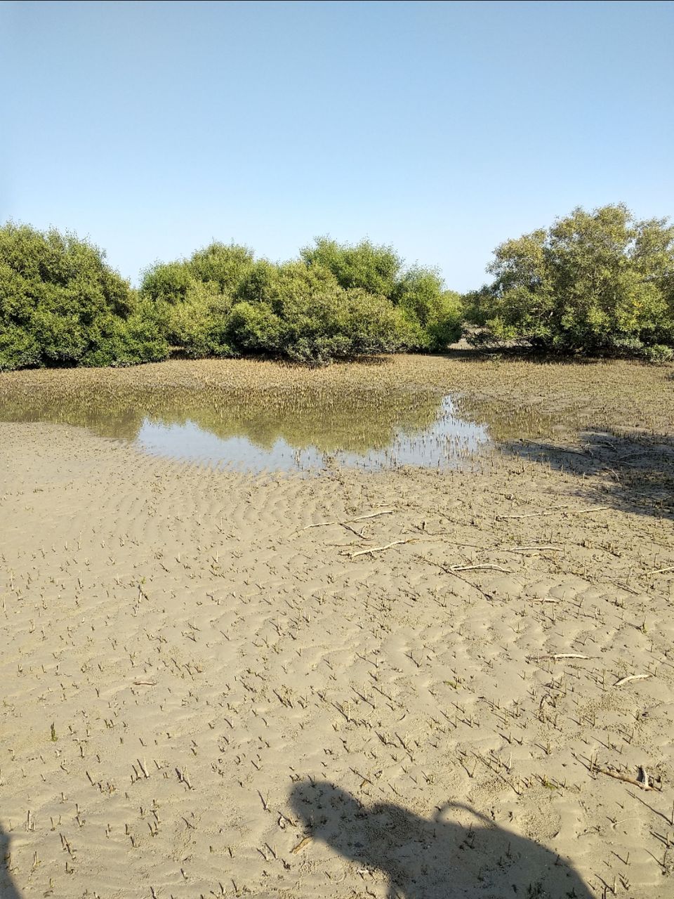 Photo of Narara Marine National Park-Jamnagar, Gujarat, India by Mangolik Pradhan